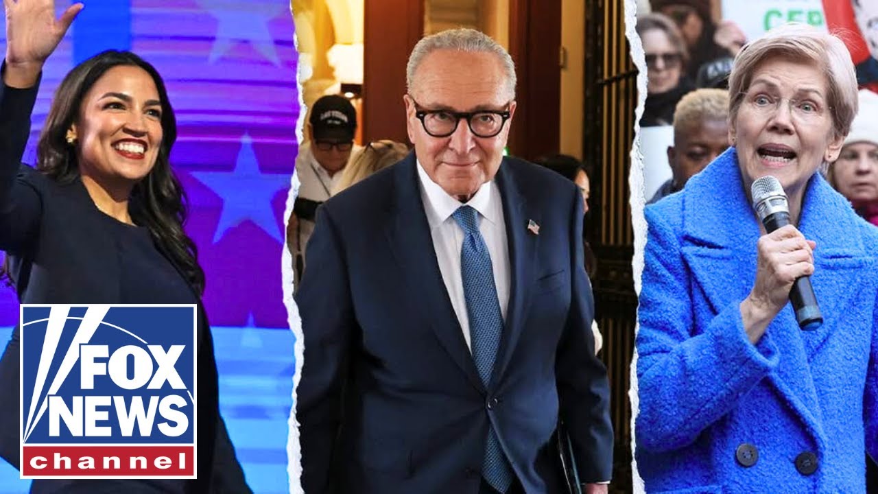 Harris Faulkner: Democrats are fighting THEMSELVES