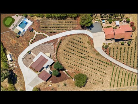 Video realizado por la propiedad