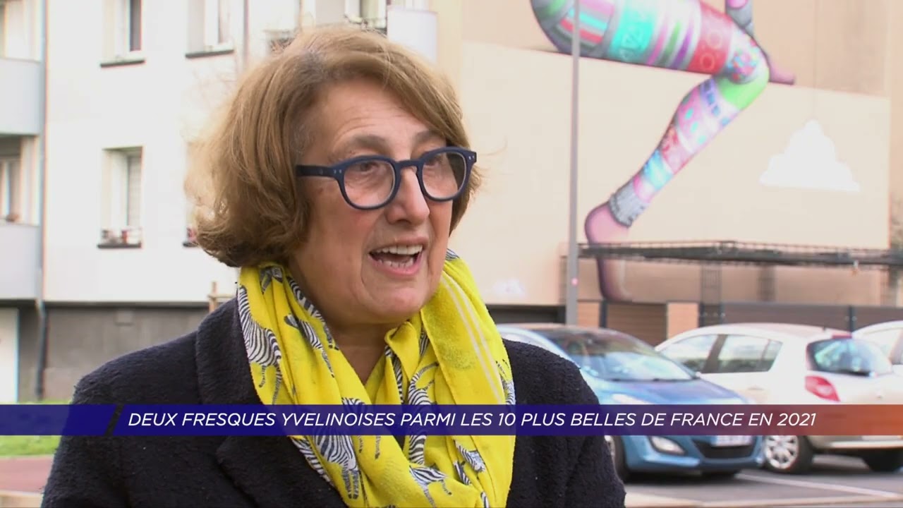 Yvelines | Deux fresques street art yvelinoises parmi les 10 plus belles de France en 2021