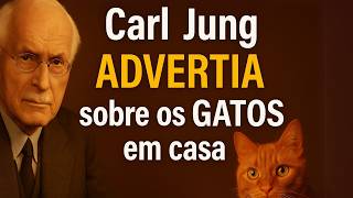 veja-mais-videos