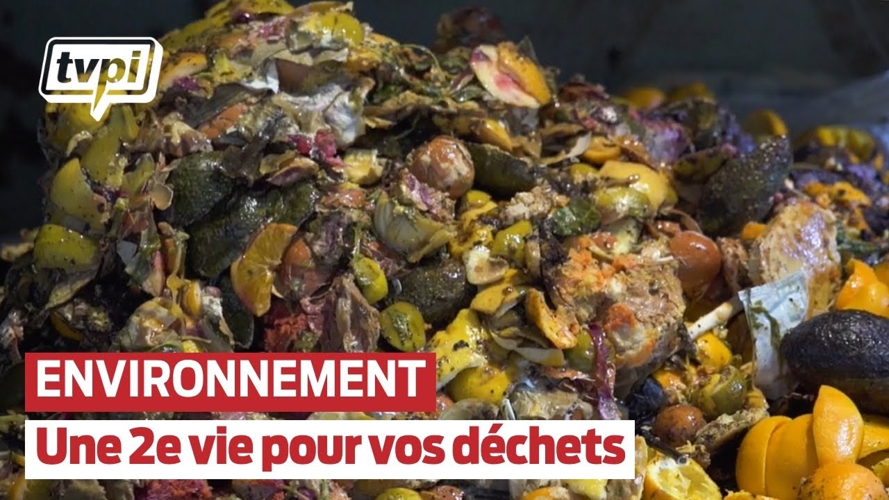 Pays Basque et Landes : Ils transforment vos déchets alimentaires en or vert ! - TVPi
