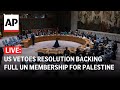 LIVE: US vetoes UN resolution backing full UN membership for Palestine