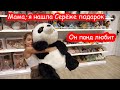 VLOG     