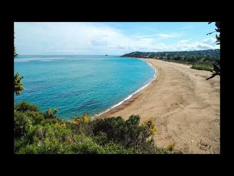 Video realizado por la propiedad