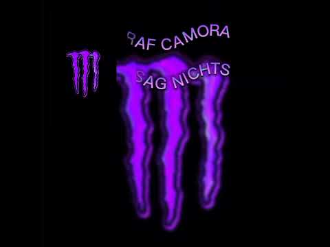 RAF Camora-SAG NIX (AUDIO)