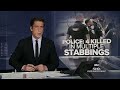 4 dead in mass stabbing incident in Illinois  - 01:28 min - News - Video