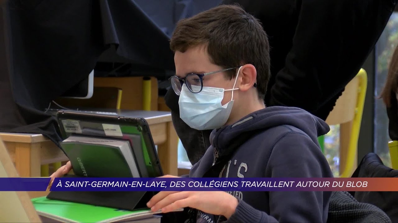 Yvelines | A Saint-Germain-en-Laye, des collégiens travaillent autour du blob