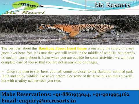 Wildlife Safari In Bandipur Makes Complete Sense With Your Stay In MC Resorts ...