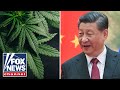 This is another tactic from China to ‘destabilize’ America: Former DEA official