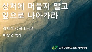 상처에 머물지 말고 앞으로 나아가라