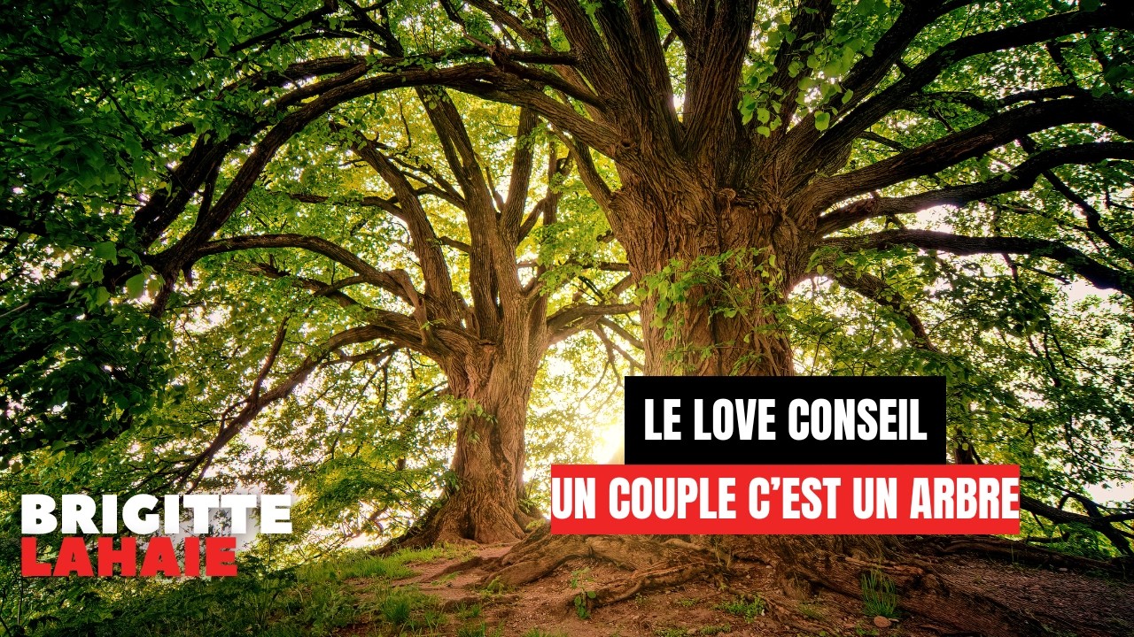 Un couple c’est un arbre