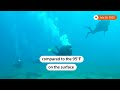 Divers go deep into the Adriatic Sea to flee heat