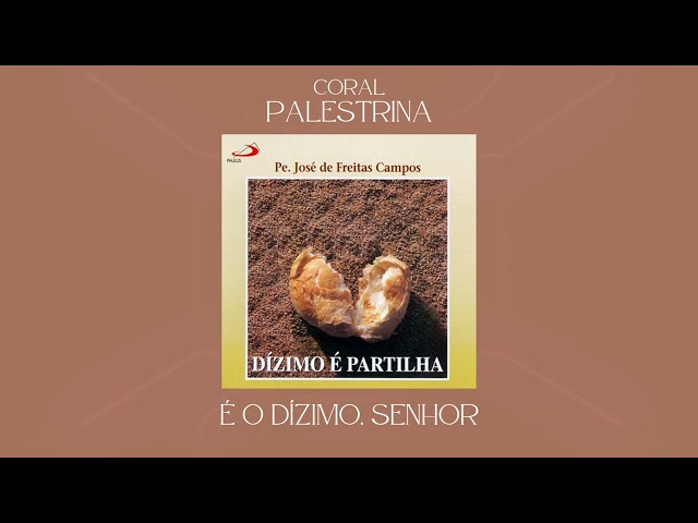 Preview do vídeo