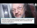 WikiLeaks founder Julian Assange expected to plead guilty  - 01:04 min - News - Video