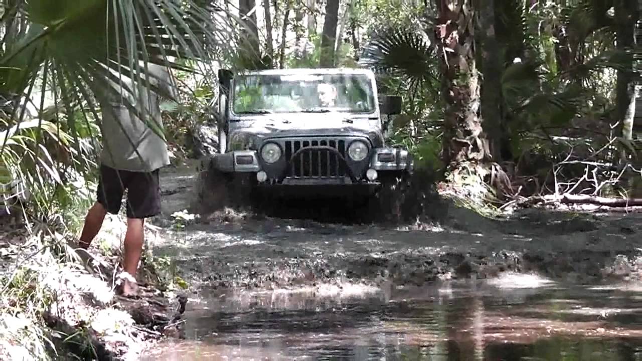 Jeep ocala florida #4