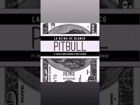 Pitbull - La Reina De Blanco feat. Chesca, Giorgio Moroder & Raney Shockne (Ricky305 Remix)