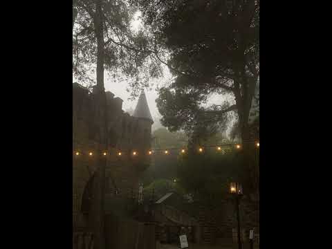 i told you things x sign of the times