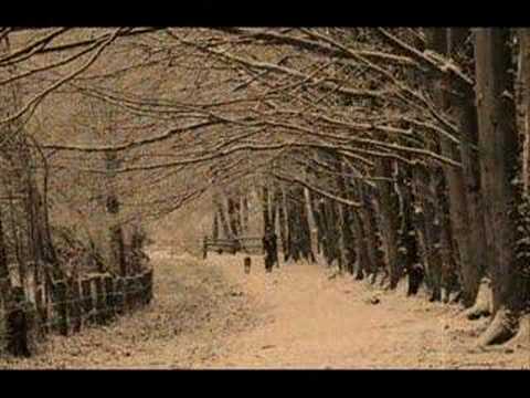 Silent Night...Elvis Presley