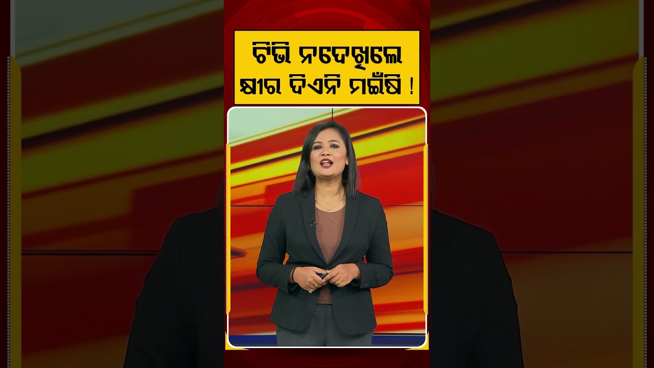 ଟିଭି ନଦେଖିଲେ କ୍ଷୀର ଦିଏନି ମଇଁଷି! | Animal Behavior | Social Media Viral | Buffalo Lover | Argus News