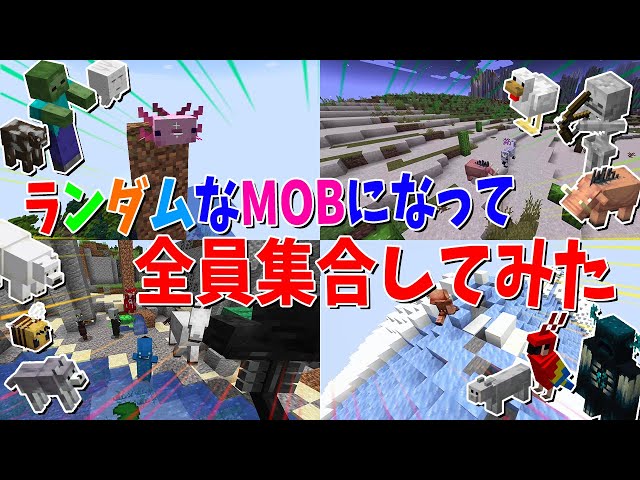 50人がランダムなMobになって全員集合してみた！ - マインクラフト【KUN】