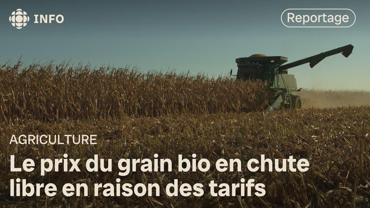 Les agriculteurs ont du mal à vendre leur grain aux États-Unis