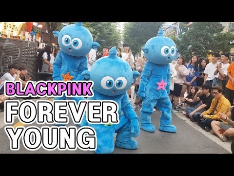포에버영 | 블랙핑크 | FOREVER YOUNG | BLACKPINK | 스타티 K-pop 인형탈 댄스팀