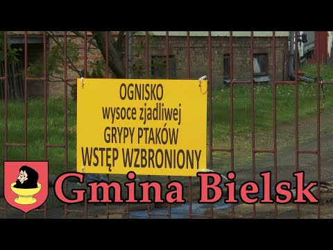 Gmina Bielsk - Serwis #19