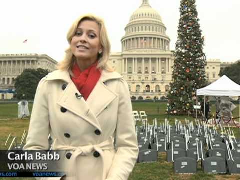 Dual Tree Lighting Illuminates Annual Holiday Debate / Carla Babb (2011)