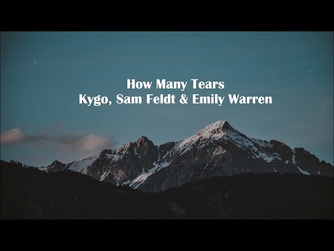 Kygo, Sam Feldt & Emily Warren - How Many Tears ( Lyrics)