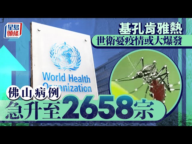 基孔肯雅熱︱世衛憂疫情或大爆發 佛山四區升至2658宗｜星島頭條新聞｜基孔肯雅熱｜世衛｜疫情｜公共衛生｜佛山｜蚊子