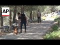 Lebanese man sets up shelter for dogs left behind during clashes with Israel