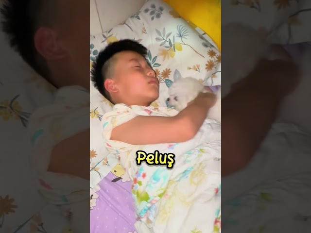 BENİ de BİRİ Böyle Uyandırsın LÜTFENNN❗😍
