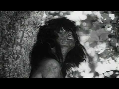 L'enfant sauvage'