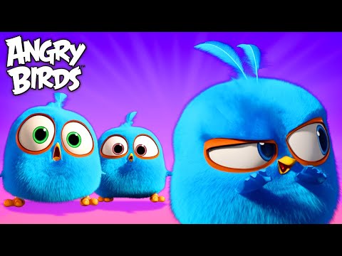 Angry Birds - modrí