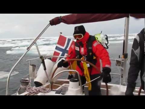 Expedition ARCTIC OCEAN PREDATOR - cover