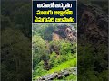 అడవిలో అద్భుతం ములుగు జిల్లాలోని ఏనుగుసరి జలపాతం #BeautifulWaterfall #Enugusariwaterfall #10tvnews