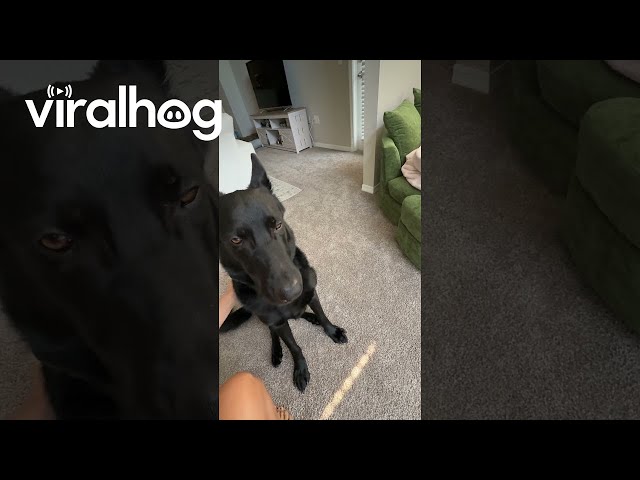 Time for His Breakfast Burp || ViralHog