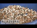 Cigarette butts recycled into organic manure; 100 billion butts discarded in India every year