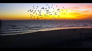 Jacksonville Beach Pier Live Cam / South View / By 911surfreport.com