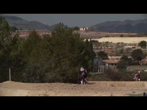 Hondas Motocross Youth: The Experts View 