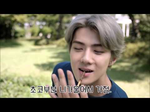 엑소 NEW빼빼로 cf 자막 ver. (자본주의 연기)