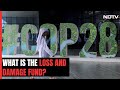 COP28 Explained | What Is The Loss And Damage Fund And Why Its Key For COP28