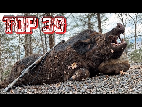 40 Shots in 3 Minutes | Wild Boar Hunting Ep 4