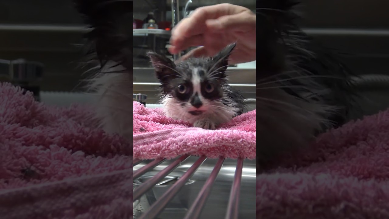 Bath time 3