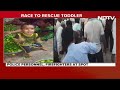 Karnataka Borewell News | Boy, 2, Trapped 16 Feet Deep In Karnataka Borewell, Rescue Underway: Cops  - 01:30 min - News - Video