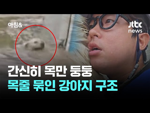 [제보영상] 간신히 목만 둥둥…목줄 묶인 채 휩쓸린 강아지 구조 / JTBC 아침&