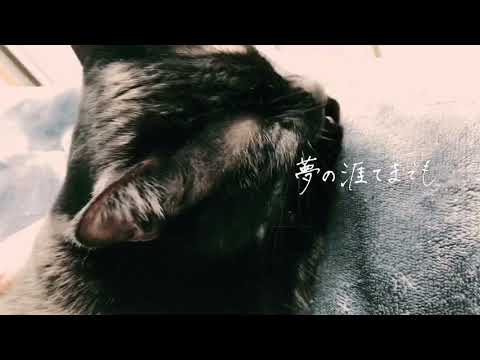 Ayaka Tachibana - 夢の涯てまでも(Piano ver.)【MV】
