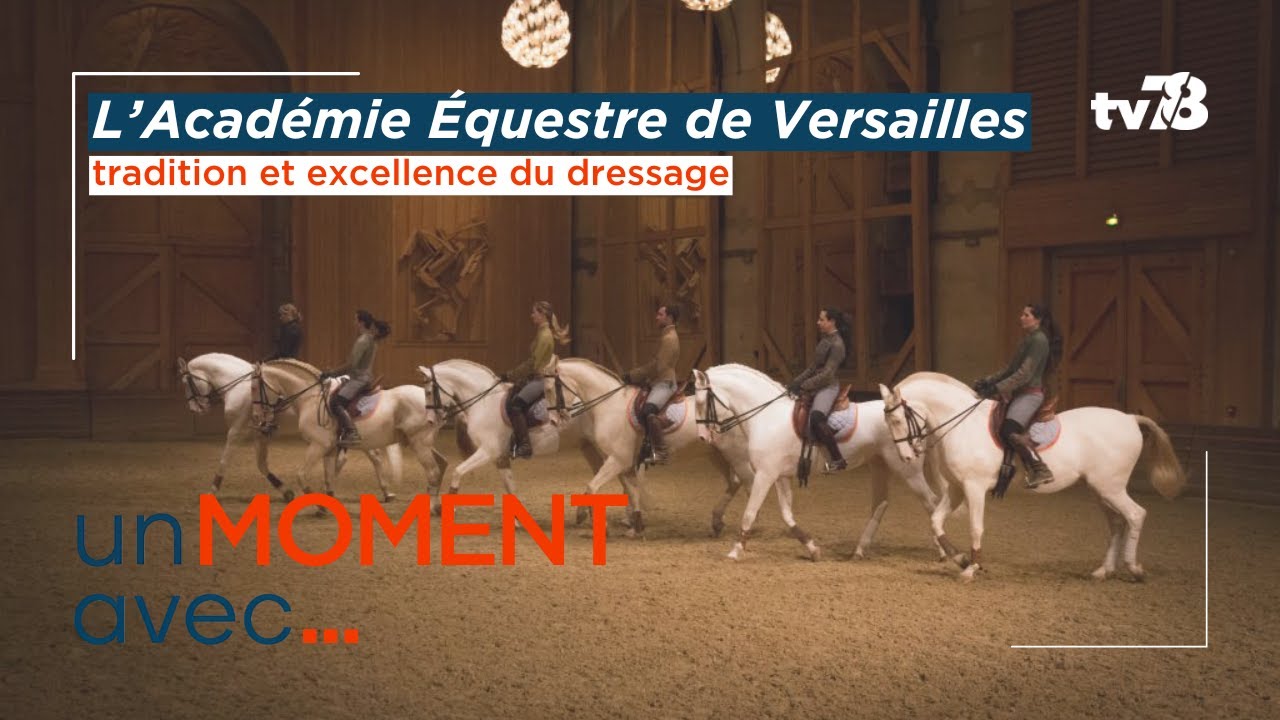 Un moment avec l’Académie Équestre de Versailles, entre tradition et excellence du dressage