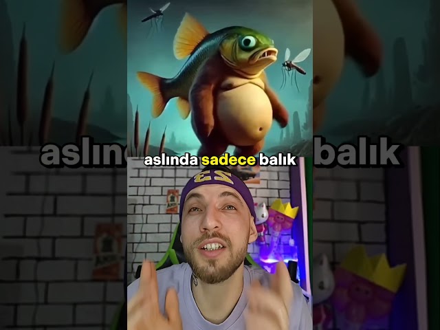 İTALYAN HAYVANLARI BIZI KANDIRIYORDU | benramazan