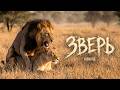 ��������� &mdash; ����� (Lyric Video 2026)